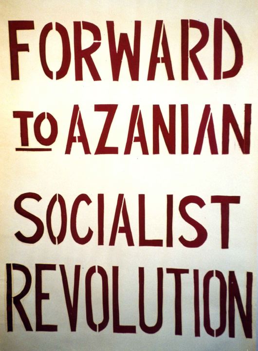 Azanian Socialist Revolution